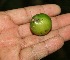  ( - BioBot10083)  @11 [ ] Copyright (2010) Unspecified Unspecified