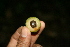  ( - BioBot10083)  @11 [ ] Copyright (2010) Unspecified Unspecified