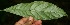  ( - BioBot10083)  @11 [ ] Copyright (2010) Unspecified Unspecified