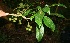  ( - BioBot10089)  @11 [ ] Copyright (2010) Unspecified Unspecified