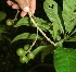  ( - BioBot10089)  @11 [ ] Copyright (2010) Unspecified Unspecified