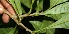  ( - BioBot10089)  @11 [ ] Copyright (2010) Unspecified Unspecified
