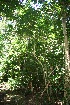  ( - BioBot10096)  @11 [ ] Copyright (2010) Unspecified Unspecified