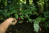  ( - BioBot10096)  @11 [ ] Copyright (2010) Unspecified Unspecified