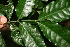  ( - BioBot10096)  @11 [ ] Copyright (2010) Unspecified Unspecified