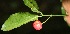  ( - BioBot10096)  @11 [ ] Copyright (2010) Unspecified Unspecified