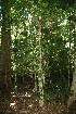  ( - BioBot10097)  @11 [ ] Copyright (2010) Unspecified Unspecified