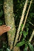  ( - BioBot10097)  @11 [ ] Copyright (2010) Unspecified Unspecified