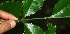  ( - BioBot10097)  @11 [ ] Copyright (2010) Unspecified Unspecified