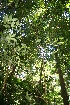  ( - BioBot10098)  @11 [ ] Copyright (2010) Unspecified Unspecified