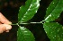  ( - BioBot10098)  @11 [ ] Copyright (2010) Unspecified Unspecified