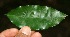  ( - BioBot10098)  @11 [ ] Copyright (2010) Unspecified Unspecified