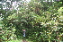  ( - BioBot10137)  @11 [ ] Copyright (2010) Unspecified Unspecified