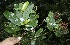  ( - BioBot10137)  @11 [ ] Copyright (2010) Unspecified Unspecified