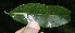  ( - BioBot10137)  @11 [ ] Copyright (2010) Unspecified Unspecified