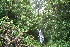  ( - BioBot10138)  @11 [ ] Copyright (2010) Unspecified Unspecified