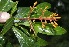  ( - BioBot10138)  @11 [ ] Copyright (2010) Unspecified Unspecified