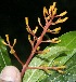  ( - BioBot10138)  @11 [ ] Copyright (2010) Unspecified Unspecified
