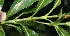  ( - BioBot10138)  @11 [ ] Copyright (2010) Unspecified Unspecified