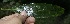  ( - BioBot10138)  @11 [ ] Copyright (2010) Unspecified Unspecified