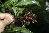  ( - BioBot10138)  @11 [ ] Copyright (2010) Unspecified Unspecified