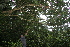  ( - BioBot10139)  @11 [ ] Copyright (2010) Unspecified Unspecified