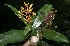  ( - BioBot10139)  @11 [ ] Copyright (2010) Unspecified Unspecified