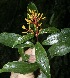  ( - BioBot10139)  @11 [ ] Copyright (2010) Unspecified Unspecified