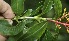  ( - BioBot10139)  @11 [ ] Copyright (2010) Unspecified Unspecified