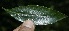  ( - BioBot10139)  @11 [ ] Copyright (2010) Unspecified Unspecified