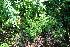  ( - BioBot10161)  @11 [ ] Copyright (2010) Unspecified Unspecified