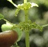  ( - BioBot10161)  @11 [ ] Copyright (2010) Unspecified Unspecified