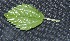  ( - BioBot10161)  @11 [ ] Copyright (2010) Unspecified Unspecified