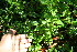  ( - BioBot10162)  @11 [ ] Copyright (2010) Unspecified Unspecified