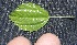  ( - BioBot10162)  @11 [ ] Copyright (2010) Unspecified Unspecified