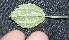  ( - BioBot10162)  @11 [ ] Copyright (2010) Unspecified Unspecified