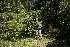  ( - BioBot10187)  @11 [ ] CreativeCommons - Attribution Non-Commercial Share-Alike (2011) Daniel H. Janzen Guanacaste Dry Forest Conservation Fund