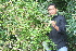  ( - BioBot10198)  @11 [ ] CreativeCommons - Attribution Non-Commercial Share-Alike (2011) Daniel H. Janzen Guanacaste Dry Forest Conservation Fund