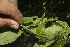  ( - BioBot10203)  @11 [ ] CreativeCommons - Attribution Non-Commercial Share-Alike (2011) Daniel H. Janzen Guanacaste Dry Forest Conservation Fund