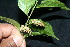  ( - BioBot10214)  @11 [ ] CreativeCommons - Attribution Non-Commercial Share-Alike (2011) Daniel H. Janzen Guanacaste Dry Forest Conservation Fund