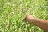  ( - BioBot10218)  @11 [ ] CreativeCommons - Attribution Non-Commercial Share-Alike (2011) Daniel H. Janzen Guanacaste Dry Forest Conservation Fund