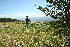  ( - BioBot10219)  @11 [ ] CreativeCommons - Attribution Non-Commercial Share-Alike (2011) Daniel H. Janzen Guanacaste Dry Forest Conservation Fund