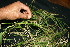  ( - BioBot10219)  @11 [ ] CreativeCommons - Attribution Non-Commercial Share-Alike (2011) Daniel H. Janzen Guanacaste Dry Forest Conservation Fund
