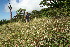  ( - BioBot10220)  @11 [ ] CreativeCommons - Attribution Non-Commercial Share-Alike (2011) Daniel H. Janzen Guanacaste Dry Forest Conservation Fund