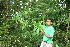  ( - BioBot10227)  @11 [ ] CreativeCommons - Attribution Non-Commercial Share-Alike (2011) Daniel H. Janzen Guanacaste Dry Forest Conservation Fund