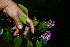  ( - BioBot10241)  @11 [ ] CreativeCommons - Attribution Non-Commercial Share-Alike (2011) Daniel H. Janzen Guanacaste Dry Forest Conservation Fund