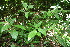  ( - BioBot10285)  @11 [ ] CreativeCommons - Attribution Non-Commercial Share-Alike (2011) Daniel H. Janzen Guanacaste Dry Forest Conservation Fund