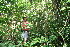  ( - BioBot10340)  @11 [ ] CreativeCommons - Attribution Non-Commercial Share-Alike (2011) Daniel H. Janzen Guanacaste Dry Forest Conservation Fund
