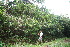  ( - BioBot10436)  @11 [ ] CreativeCommons - Attribution Non-Commercial Share-Alike (2011) Daniel H. Janzen Guanacaste Dry Forest Conservation Fund