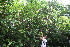  ( - BioBot10438)  @11 [ ] CreativeCommons - Attribution Non-Commercial Share-Alike (2011) Daniel H. Janzen Guanacaste Dry Forest Conservation Fund